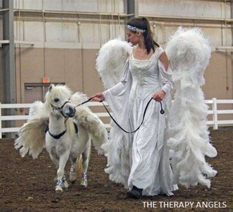 angel costume for horse